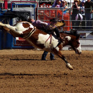 A Chris LeDoux Kinda Writer