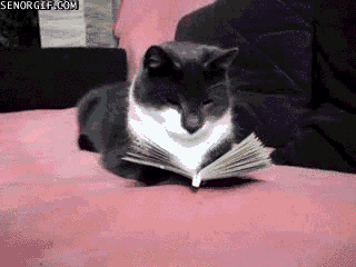 Writing Lessons from Fiction Books